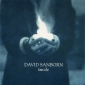 Audio CD: David Sanborn (1999) Inside
