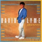 Audio CD: David Lyme (2020) Hits & Remixes