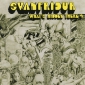 Audio CD: Svanfridur (1972) What's Hidden There?