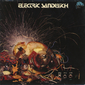 Оцифровка винила: Electric Sandwich (1972) Electric Sandwich