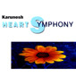 Альбом mp3: Karunesh (1993) HEART SYMPHONY