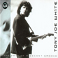 Альбом mp3: Tony Joe White (1993) THE PATH OF A DECENT GROOVE