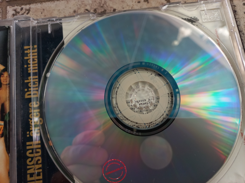 Audio CD: Die Toten Hosen (1993) Reich & Sexy