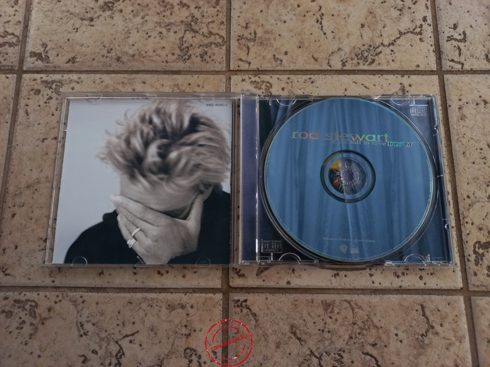 Audio CD: Rod Stewart (1996) If We Fall In Love Tonight Audio CD: Rod Stewart (1996) If We Fall In Love Tonight