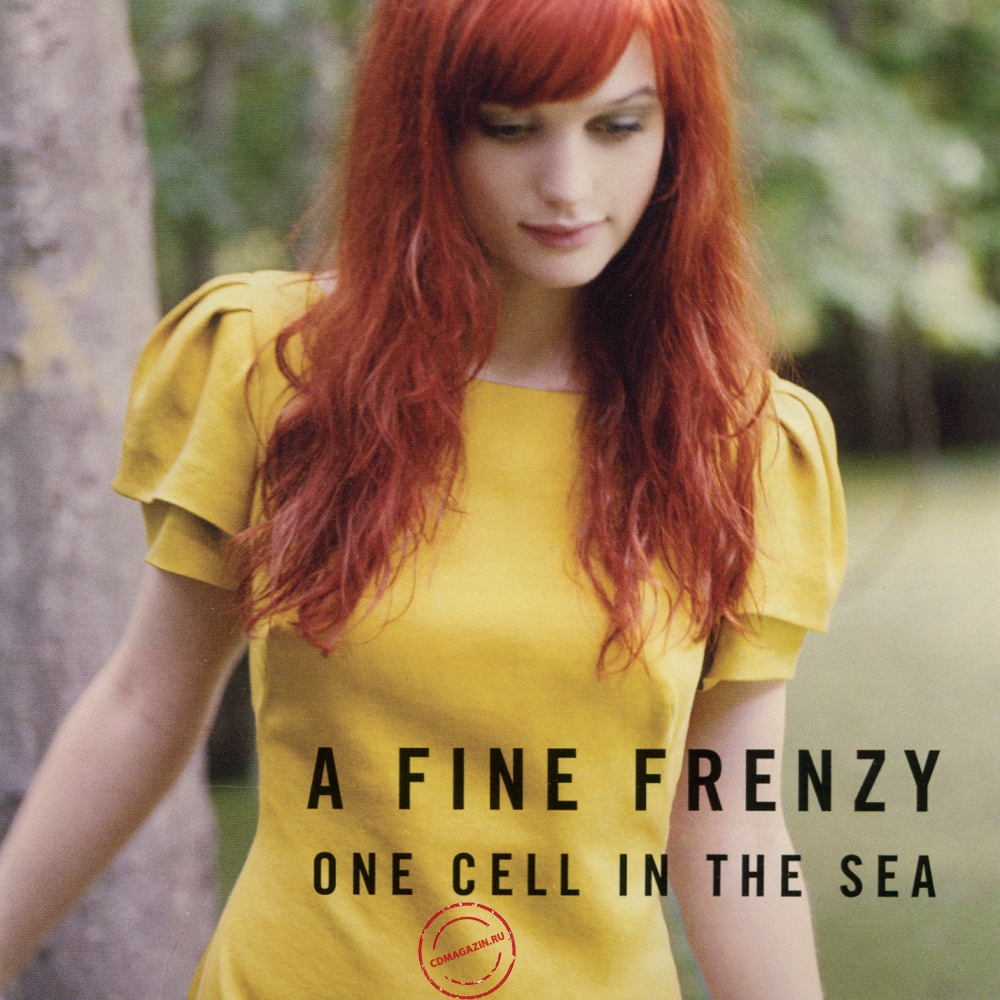 Audio CD: A Fine Frenzy (2007) One Cell In The Sea