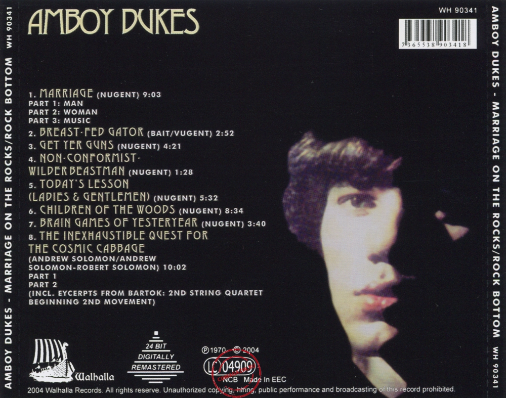 Audio CD: Amboy Dukes (1970) Marriage On The Rocks & Rock Bottom