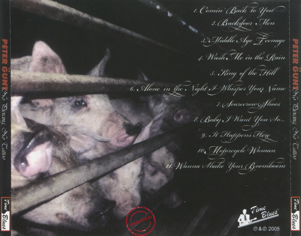 Audio CD: Peer Gunt (2005) No Piercing, No Tattoo Audio CD: Peer Gunt (2005) No Piercing, No Tattoo