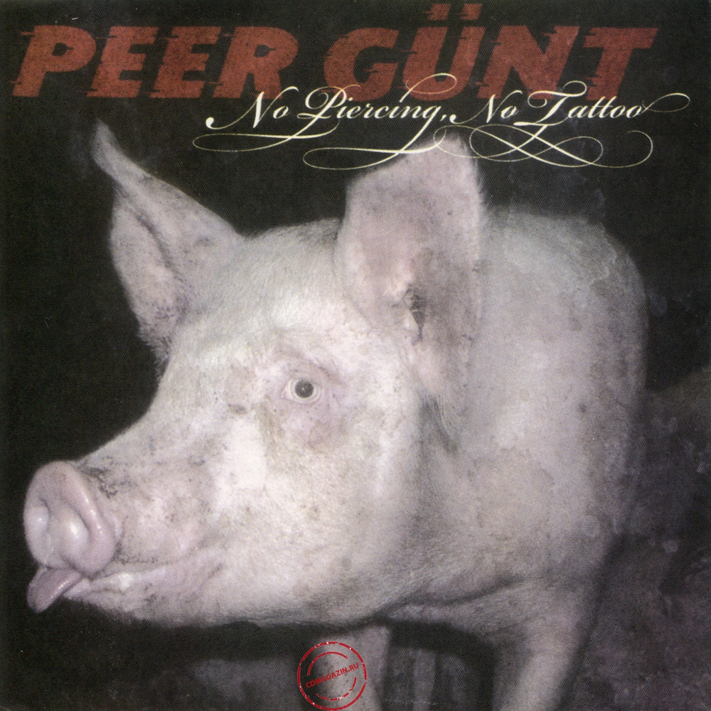 Audio CD: Peer Gunt (2005) No Piercing, No Tattoo Audio CD: Peer Gunt (2005) No Piercing, No Tattoo