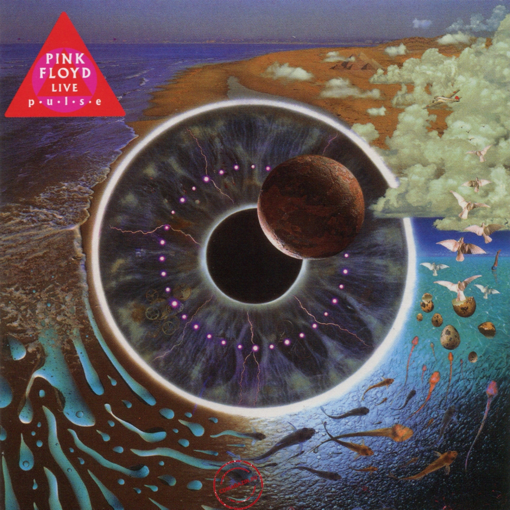 Audio CD: Pink Floyd (1995) Pulse Audio CD: Pink Floyd (1995) Pulse