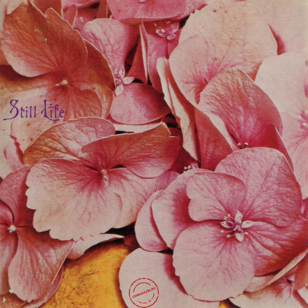Audio CD: Still Life (7) (1971) Still Life Audio CD: Still Life (7) (1971) Still Life
