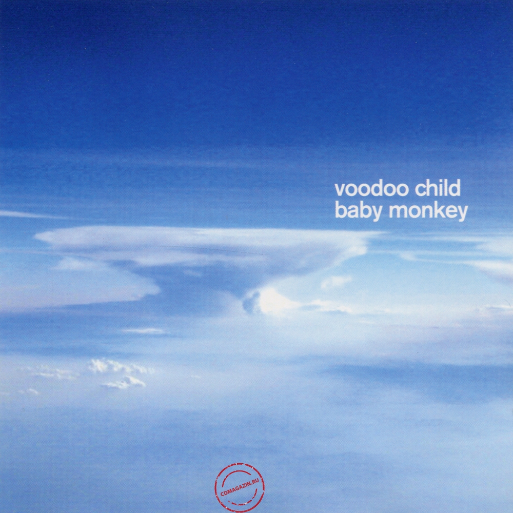 Audio CD: Voodoo Child (2004) Baby Monkey