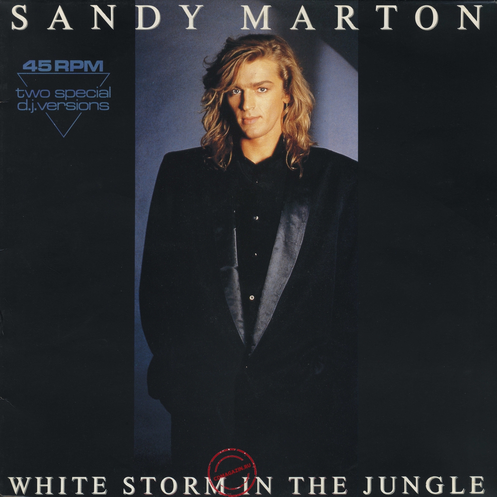 Оцифровка винила: Sandy Marton (1986) White Storm In The Jungle