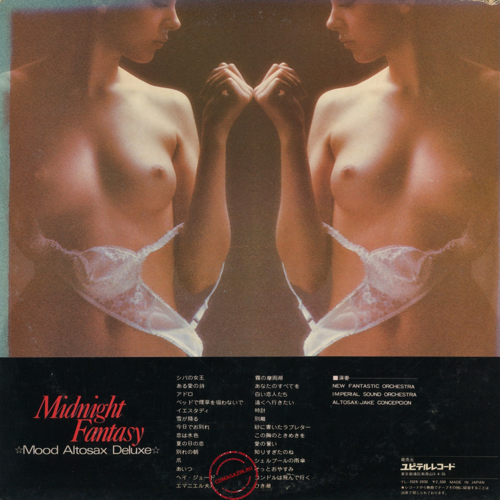 Оцифровка винила: Jake Conception (1974) Midnight Fantasy Оцифровка винила: Jake Conception (1974) Midnight Fantasy