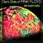 MP3 альбом: Pink Floyd (2005) DARK SIDE OF PINK FLOYD (Non Album Songs)