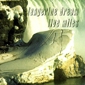 MP3 альбом: Tangerine Dream (1988) LIVE MILES (Live) MP3 альбом: Tangerine Dream (1988) LIVE MILES (Live)