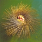 MP3 альбом: Peter Gabriel (2000) OVO MP3 альбом: Peter Gabriel (2000) OVO