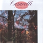 MP3 альбом: Caravelli (1982) THE BEST OF CARAVELLI MP3 альбом: Caravelli (1982) THE BEST OF CARAVELLI
