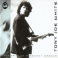 MP3 альбом: Tony Joe White (1993) THE PATH OF A DECENT GROOVE