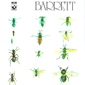 MP3 альбом: Syd Barrett (1970) BARRETT