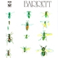 MP3 альбом: Syd Barrett (1970) BARRETT MP3 альбом: Syd Barrett (1970) BARRETT