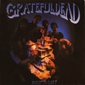MP3 альбом: Grateful Dead (1989) BUILT TO LAST MP3 альбом: Grateful Dead (1989) BUILT TO LAST