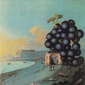 MP3 альбом: Moby Grape (1968) WOW