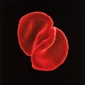 MP3 альбом: Peter Gabriel (2010) SCRATCH MY BACK MP3 альбом: Peter Gabriel (2010) SCRATCH MY BACK