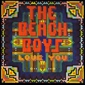 MP3 альбом: Beach Boys (1977) LOVE YOU MP3 альбом: Beach Boys (1977) LOVE YOU