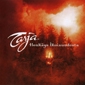 MP3 альбом: Tarja Turunen (2006) HENKAYS IKUISUUDESTA