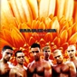 MP3 альбом: Rammstein (1995) HERZELEID