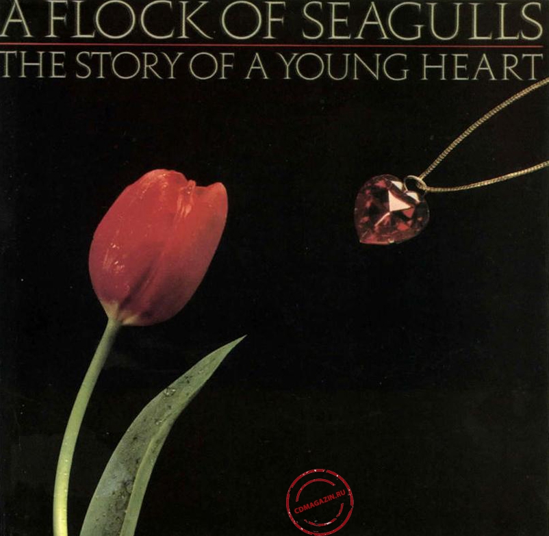 MP3 альбом: A Flock Of Seagulls (1984) The Story Of A Young Heart