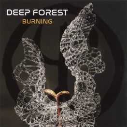 Audio CD: Deep Forest (2023) Burning