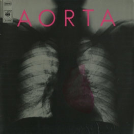 Оцифровка винила: Aorta (1968) Aorta